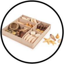 Nature's Geometry Loose Parts Kit - Guidecraft